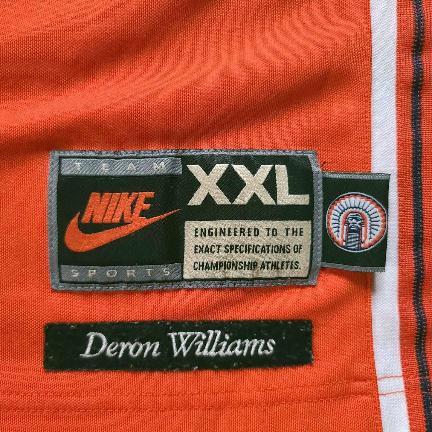 Fighting Illini Deron Williams Orange Jersey